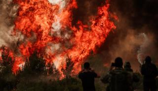 Ξεπέρασαν τις 6.200 οι πυρκαγιές φέτος στην Ελλάδα - Τα αίτια που τις προκάλεσαν