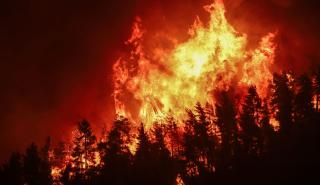 Ιταλία: Οι πυροσβέστες αντιμετώπισαν στη διάρκεια της νύχτας περισσότερες από 500 πυρκαγιές