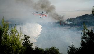 Fitch: Πώς επηρεάζουν οι καύσωνες και οι πυρκαγιές τις ελληνικές επιχειρήσεις και τον τουρισμό