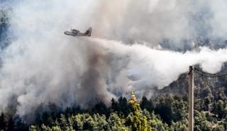 Φωτιά - Βίλια: Φλόγες μέσα στον οικισμό - Σε ετοιμότητα για εκκένωση