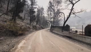 ΥΠΕΝ: Πάνω από 700 δασεργάτες στις πυρόπληκτες περιοχές της Βόρειας Εύβοιας