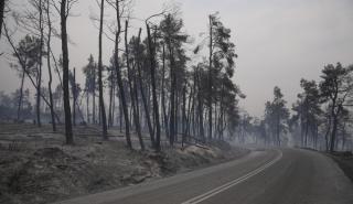 ΕΒΕΑ: Έκτακτο βοήθημα στις επιχειρήσεις-μέλη που επλήγησαν