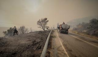 Περιπολίες στρατού και αστυνομίας σε δάση και επίφοβες περιοχές για πρόληψη πυρκαγιών
