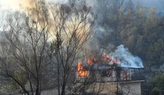 Αγωνία για τις επιχειρήσεις στις πυρόπληκτες περιοχές