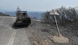 Πυρκαγιές: Συνάντηση Πέτσα - Πατούλη για τον σχεδιασμό της επόμενης μέρας