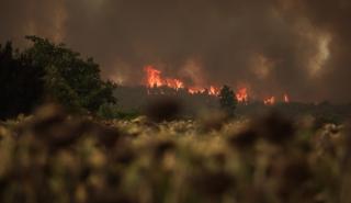 Γερμανικός Τύπος: Οι πυρκαγιές στην Εύβοια και η ώρα των ευθυνών