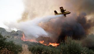 Εφιαλτική η κατάσταση σε Εύβοια και Ολυμπία - Πολλαπλά μέτωπα - Εκκενώνονται συνεχώς οικισμοί