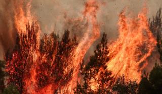 Πυρκαγιά στο Δίλοφο Φαρσάλων - Μεγάλη κινητοποίηση της Πυροσβεστικής