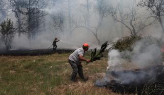 Σπάρτη: Τρία ενεργά μέτωπα φωτιάς στην Ανατολική Μάνη - Επιχειρούν επίγειες και εναέριες πυροσβεστικές δυνάμεις
