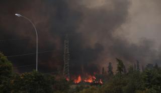 Μία σύλληψη και πρόστιμο 3.000 ευρώ για τη φωτιά στη Βαρυμπόμπη