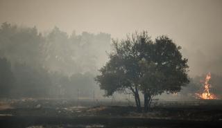 Πυρκαγιά στον Άγιον Όρος - Κυρίως από αέρος επιχειρείται η κατάσβεση