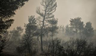 Πάρνηθα: Ολονύχτια μάχη με τις αναζωπυρώσεις - Σε πύρινο κλοιό Έβρος, Ροδόπη και Βοιωτία