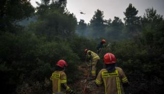 Εκκενώνεται το Κοντοδεσπότι Ευβοίας - Σε εξέλιξη πυρκαγιά και στη Χαλκίδα