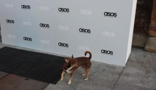 Η βρετανική εταιρεία μόδας ASOS γίνεται πιο «πράσινη»