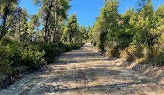 Μονοπάτια και βιώσιμος τουρισμός: Nέα «πράσινη» οικονομία στην ύπαιθρο