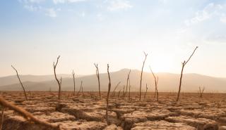 Η κλιματική αλλαγή έχει κάνει 20 φορές πιθανότερες τις σοβαρές ξηρασίες τα καλοκαίρια