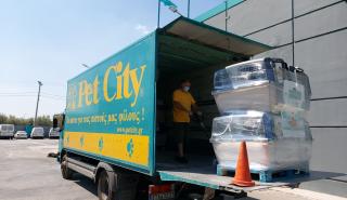 Pet City: Με επενδύσεις και εξαγορές βάζει πλώρη για επέκταση του δικτύου της – Τα επόμενα βήματα