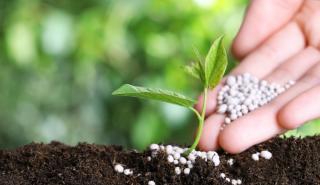 Φώσφορος: Ένα λίπασμα για τον πληθωρισμό και την κλιματική αλλαγή