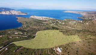 Προς πώληση η παραθεριστική έκταση «Alkyonides Hills» της Lamda Development στην Αίγινα