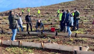 ΥΠΕΝ: 4.000 δέντρα φυτεύτηκαν στην πυρόπληκτη περιοχή της Λίμνης Ευβοίας