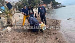 Λαμία: Όχημα με ηλικιωμένο έπεσε στη θάλασσα στην παραλία στις Ράχες