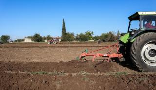 ΕΛΣΤΑΤ: Κατά 18,2% ακριβότερες οι τιμές εκροών σε Γεωργία - Κτηνοτροφία τον Μάρτιο