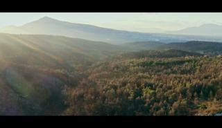 «Μετά τη Φωτιά»: Το mini doc που φέρνει την ελπίδα για την αναγέννηση της φύσης