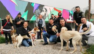 Η ομάδα εθελοντών της bwin στον Χώρο Προσωρινής Φιλοξενίας Αδέσποτων Ζώων του Δήμου Αθηναίων