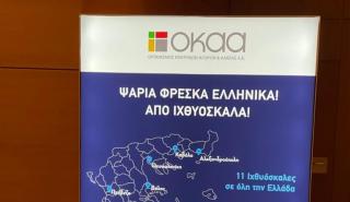Αποστολάκος: O ΟΚΑΑ δημιουργεί ψηφιακή στρατηγική για τη διακίνηση αλιευμάτων με την εφαρμογή «e-Ιχθυόσκαλα»