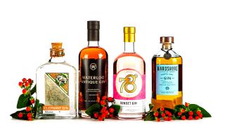 Τα καλύτερα gin του πλανήτη σύμφωνα με τον Παγκόσμιο Διαγωνισμό Ποτών 2022