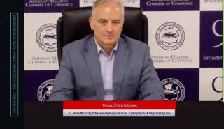 Ελληνοαμερικανικό - Εμπορικό Επιμελητήριο: Έρχεται νέα μεγάλη επένδυση στην Ελλάδα στην αιολική ενέργεια