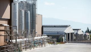 Μητσοτάκης: Πρόσθετοι πόροι 171 εκατ. ευρώ για τη βιολογική κτηνοτροφία