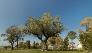 The Ellinikon Experience Park: Ανοίγει καθημερινά τις πόρτες από τις 10 το πρωί έως τις 11 το βράδυ