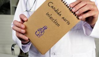 Μύκητας Candida auris: Τι είναι, που τον συναντάμε και πόσο πρέπει να ανησυχούμε