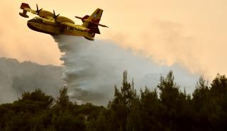 Πυροσβεστική: Εκδηλώθηκαν 41 δασικές πυρκαγιές το τελευταίο 24ωρο