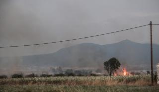 Εύβοια: Μεγάλη πυρκαγιά στο Αλιβέρι - Επιχειρούν ισχυρές δυνάμεις της Πυροσβεστικής