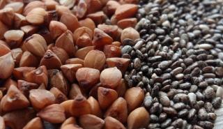 Οι φυτικές πρωτεΐνες, η νέα επενδυτική ευκαιρία της Κυκλικής Οικονομίας