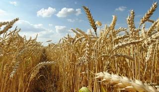 Τετραμερής Τουρκίας, Ουκρανίας, Ρωσίας και ΟΗΕ για τις εξαγωγές σιτηρών