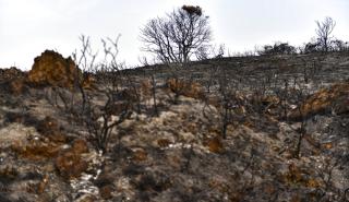 EE: Οι φετινές πυρκαγιές έχουν κάψει περισσότερα από 5.000 km² - Ξεπέρασαν τις καταστροφές του 2021