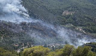 ΤΑΙΠΕΔ – PPF: Προχωρά το πλάνο κατάρτισης σχεδίων αντιπυρικής προστασίας