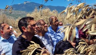 Τσίπρας: Να επαναφέρουμε τη δικαιοσύνη, να σταματήσουν οι σκανδαλώδεις ανισότητες