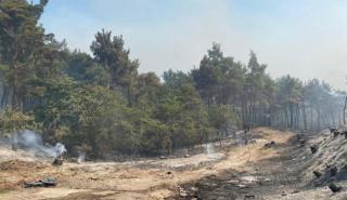 Πυρκαγιές: Χωρίς ενεργά μέτωπα Ρόδος, Κέρκυρα, Μαγνησία- Πολύ υψηλός κίνδυνος για έξι περιφέρειες της Ελλάδας
