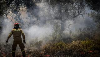 Πεντέλη: Σε ύφεση τα πύρινα μέτωπα, μάχη με τις αναζωπυρώσεις - Δραματική έκκληση πυροσβεστών