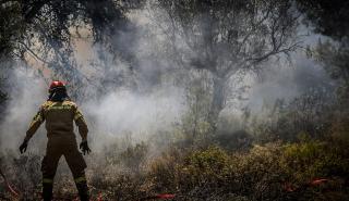 Πάτρα: Οριοθετήθηκε η φωτιά στην περιοχή Κυπαρίσσι