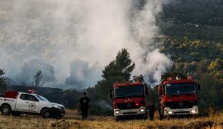 Μαίνεται η πυρκαγιά στη Θάσο - Ενισχύονται οι πυροσβεστικές δυνάμεις