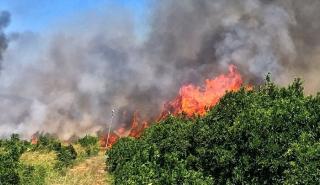 Ενεργοποιήθηκε η υπηρεσία Copernicus για την περιοχή Μέλαμπες Ρεθύμνου που επλήγη από πυρκαγιά