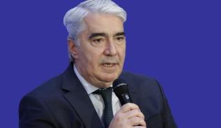 Κεδίκογλου: Δεν θα επιτρέψουμε περιστατικά κακοποίησης ζώων