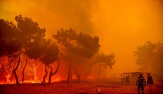 Πυρκαγιά στη Λέσβο: Κάηκαν σπίτια και επιχειρήσεις - Απεγκλωβίστηκαν άτομα από το λιμενικό στα Βατερά
