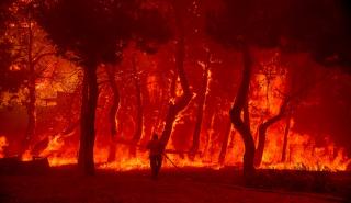 Eurostat: Τα κράτη της ΕΕ ξόδεψαν μόλις το 0,5% των συνολικών τους δαπανών για την πυροπροστασία