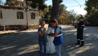 Άνοιξε η πλατφόρμα αρωγής για τους πυρόπληκτους σε περιοχές της Αττικής, της Ηλείας και της Λέσβου